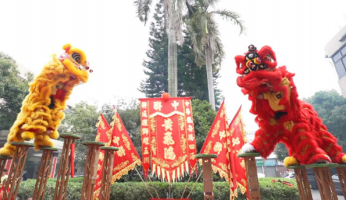 龙腾狮跃，，，，共铸绚烂未来！
