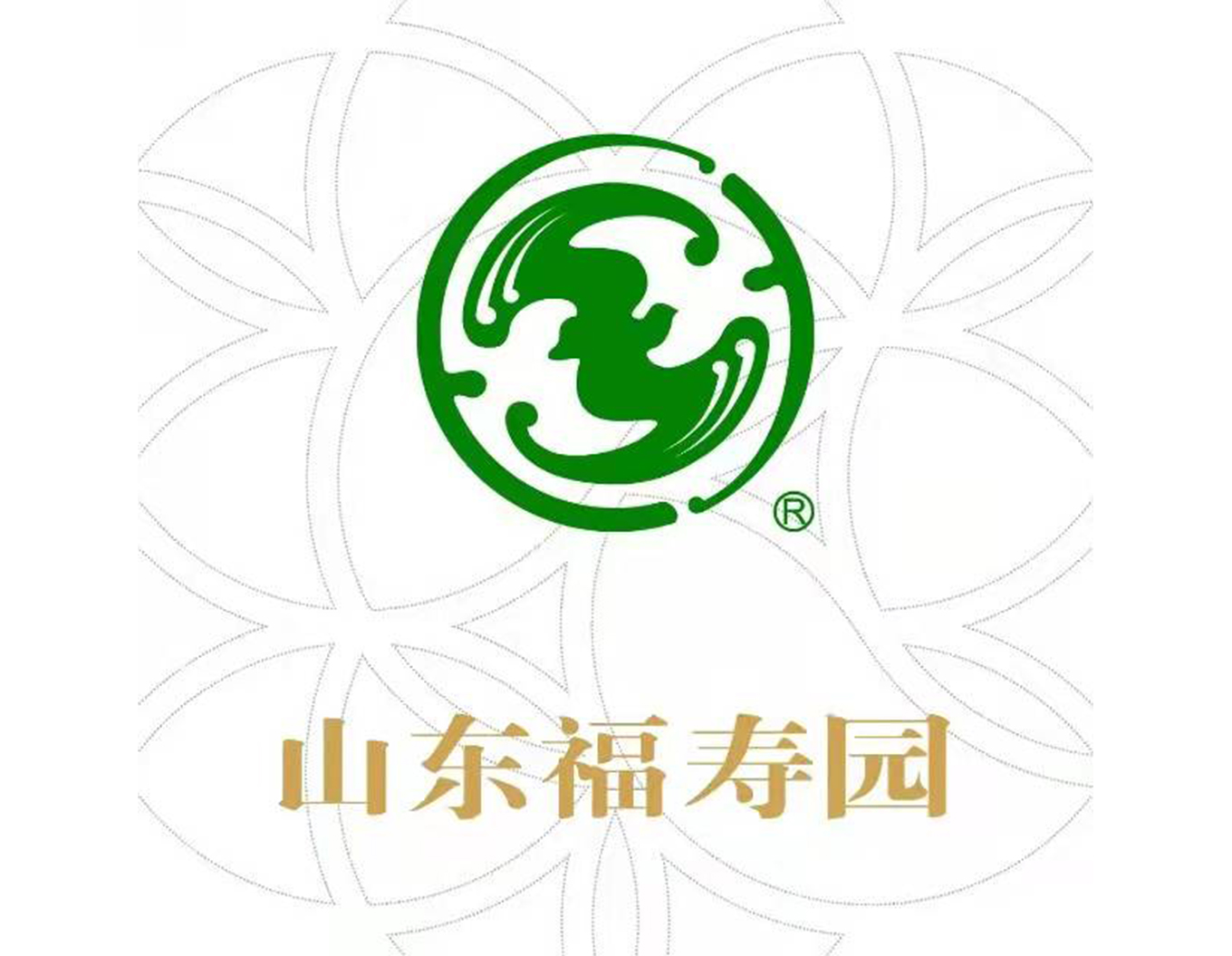 1-21121Q3231E50 威客电竞·VKGAME(中国区)官方网站