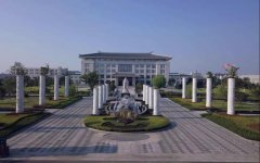 杨演员的一天