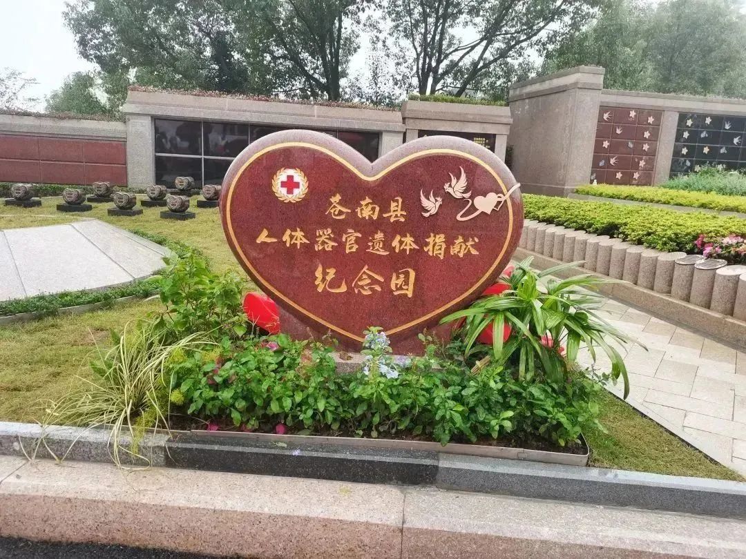 威客电竞·VKGAME(中国区)官方网站