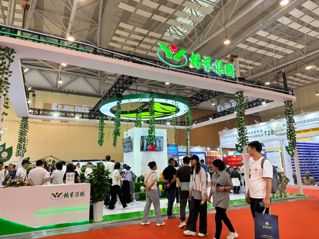 1-230612091G0Z8 威客电竞·VKGAME(中国区)官方网站