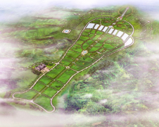 杨艺集团：公墓投资的践行者，经营治理的内行