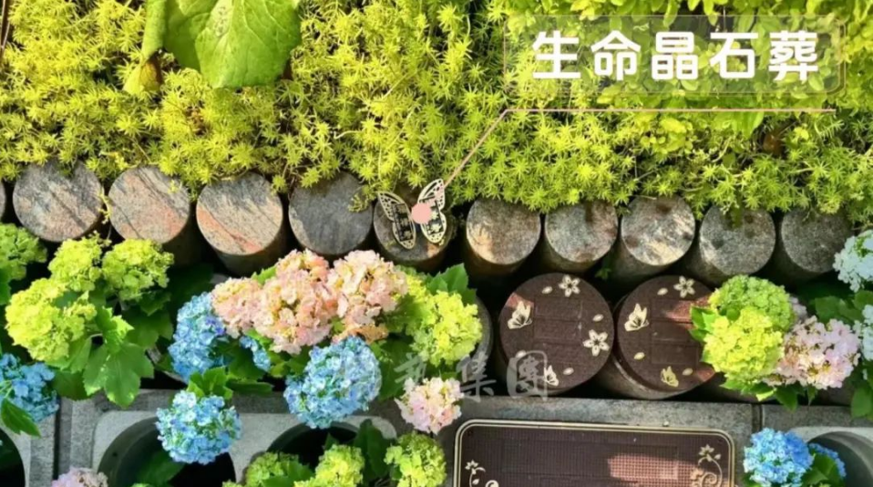 1-240H914334D49 威客电竞·VKGAME(中国区)官方网站