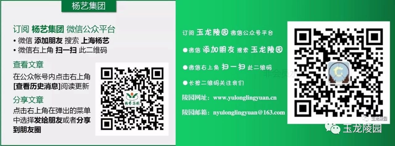 1-25040309312M41 威客电竞·VKGAME(中国区)官方网站
