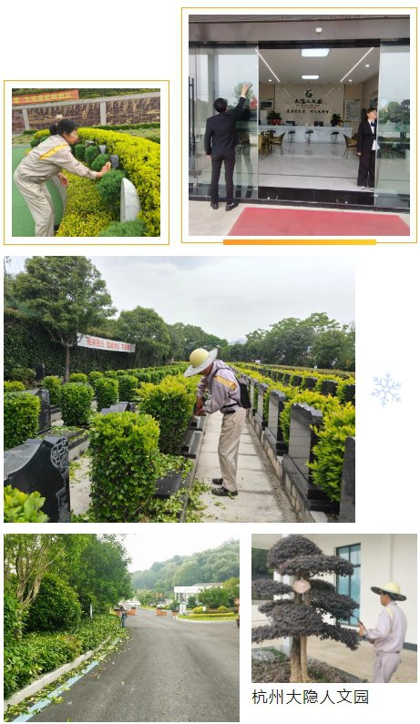 1-250505093S2264 威客电竞·VKGAME(中国区)官方网站
