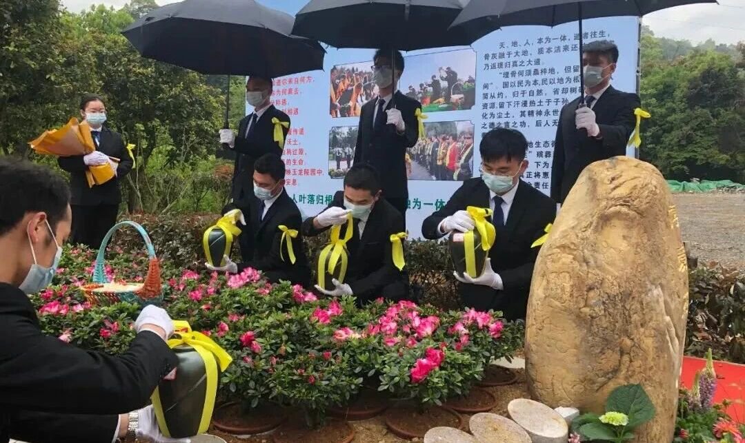 1-2510291356112C 威客电竞·VKGAME(中国区)官方网站