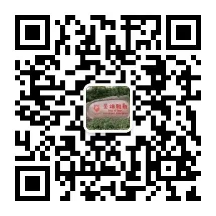 1-2510300R05G38 威客电竞·VKGAME(中国区)官方网站