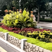 无机仿真石花箱：以永恒之名，塑未来之境
