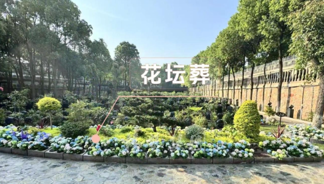 威客电竞·VKGAME(中国区)官方网站